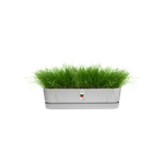 greenville pflanzgefäß lang 70cm living beton